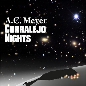 Download des kompletten Albums "Fuerteventura Nights" Einfach hier auf das CD-Cover drücken!